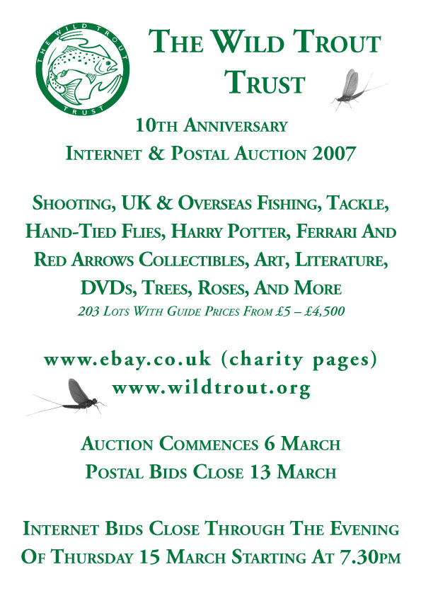 auction2007catweb.jpg