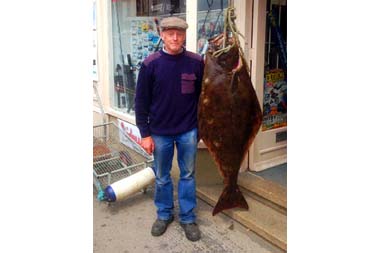 71lb halibut caught off Whitby, England