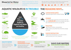 Water is our life. Water is Essential for Life.. Water Supply infographic. Essential Water. Water usage of food infographic.