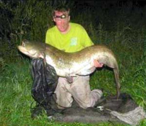 94lb catfish landed by River Severn barbel angler – Total Fishing