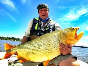 golden dorado argentina