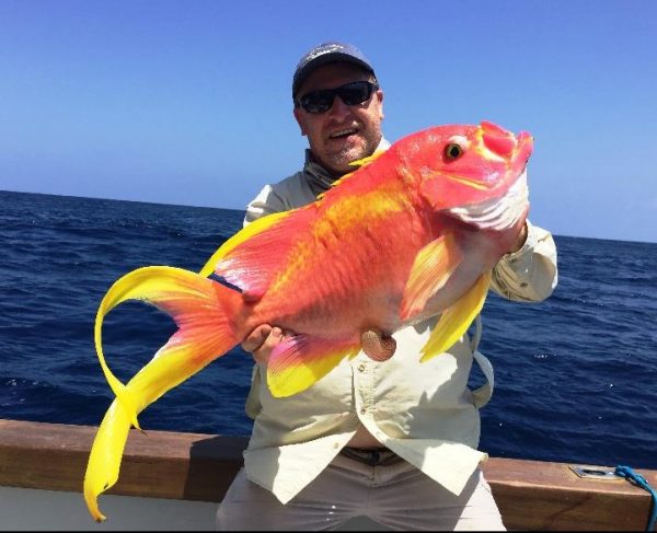 Swallowtail world record caught off Kenya – Total Fishing