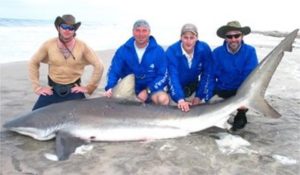 mola mola beach shark fishing namibia