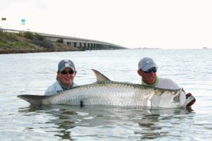 tarpon and more key west florida usa