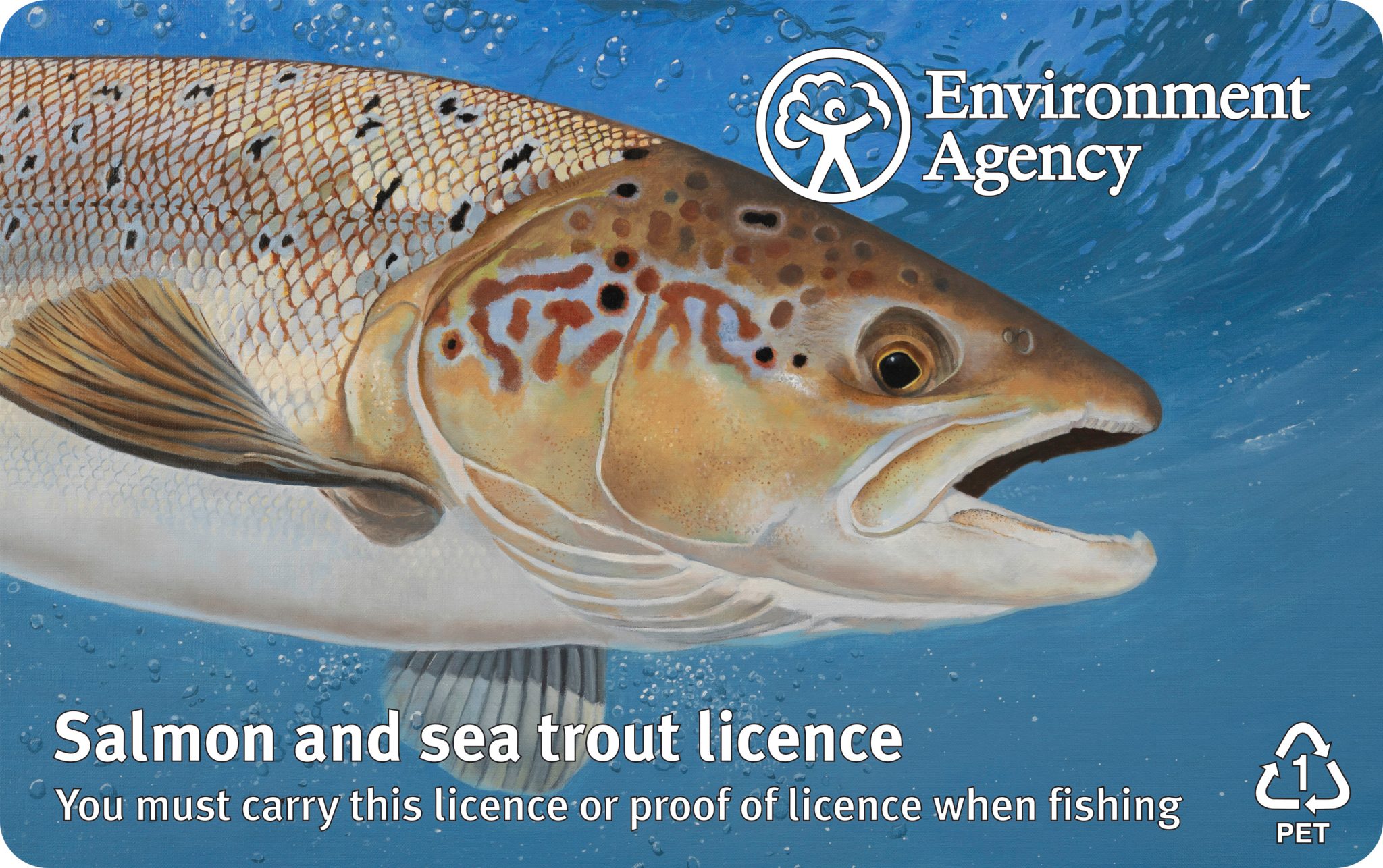 New Fishing Licences Unveiled By The Environment Agency Total Fishing   SST Fishing Licence English 2048x1286 