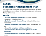 Bass Fisheries Management Plan