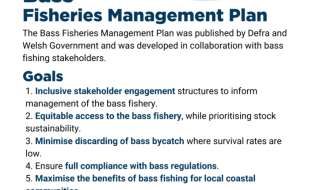 Bass Fisheries Management Plan