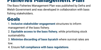 Bass Fisheries Management Plan