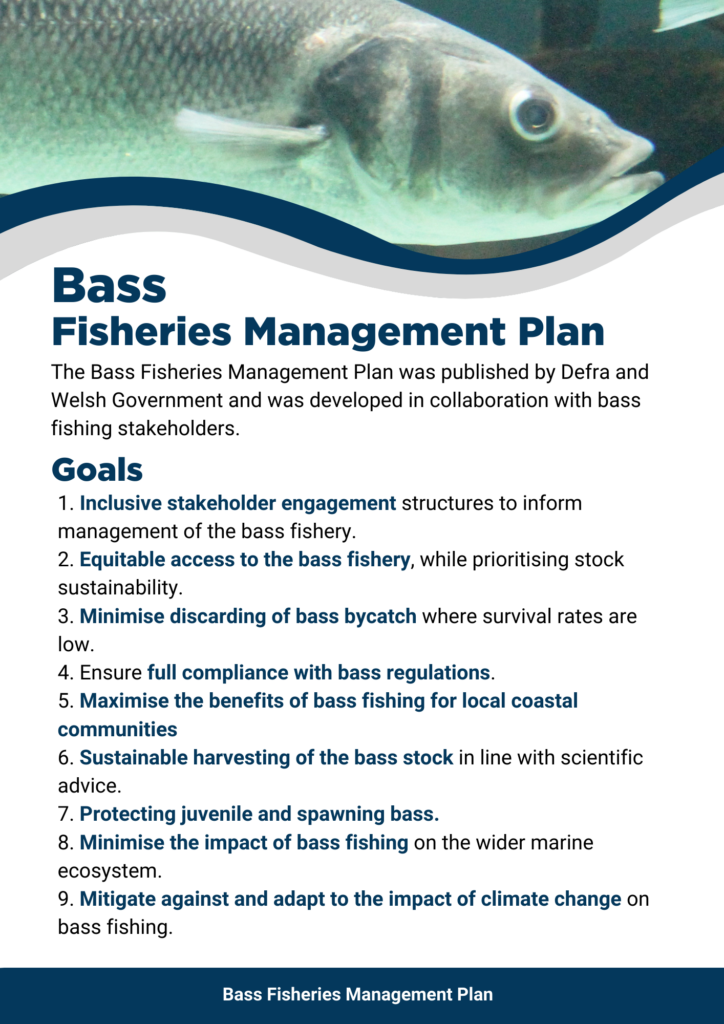 Bass Fisheries Management Plan