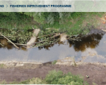 EA Fisheries Improvement Programme